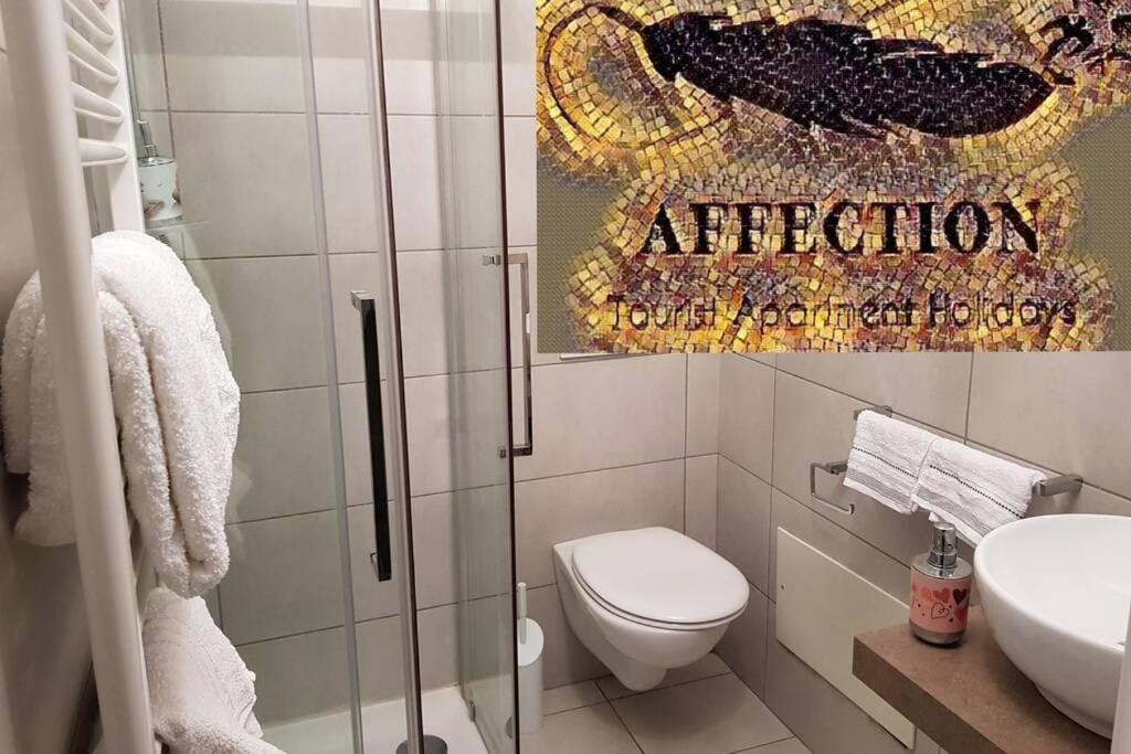 Affection Apartment بولونيا المظهر الخارجي الصورة