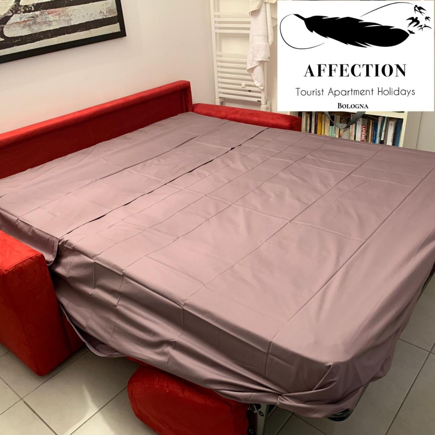Affection Apartment بولونيا المظهر الخارجي الصورة