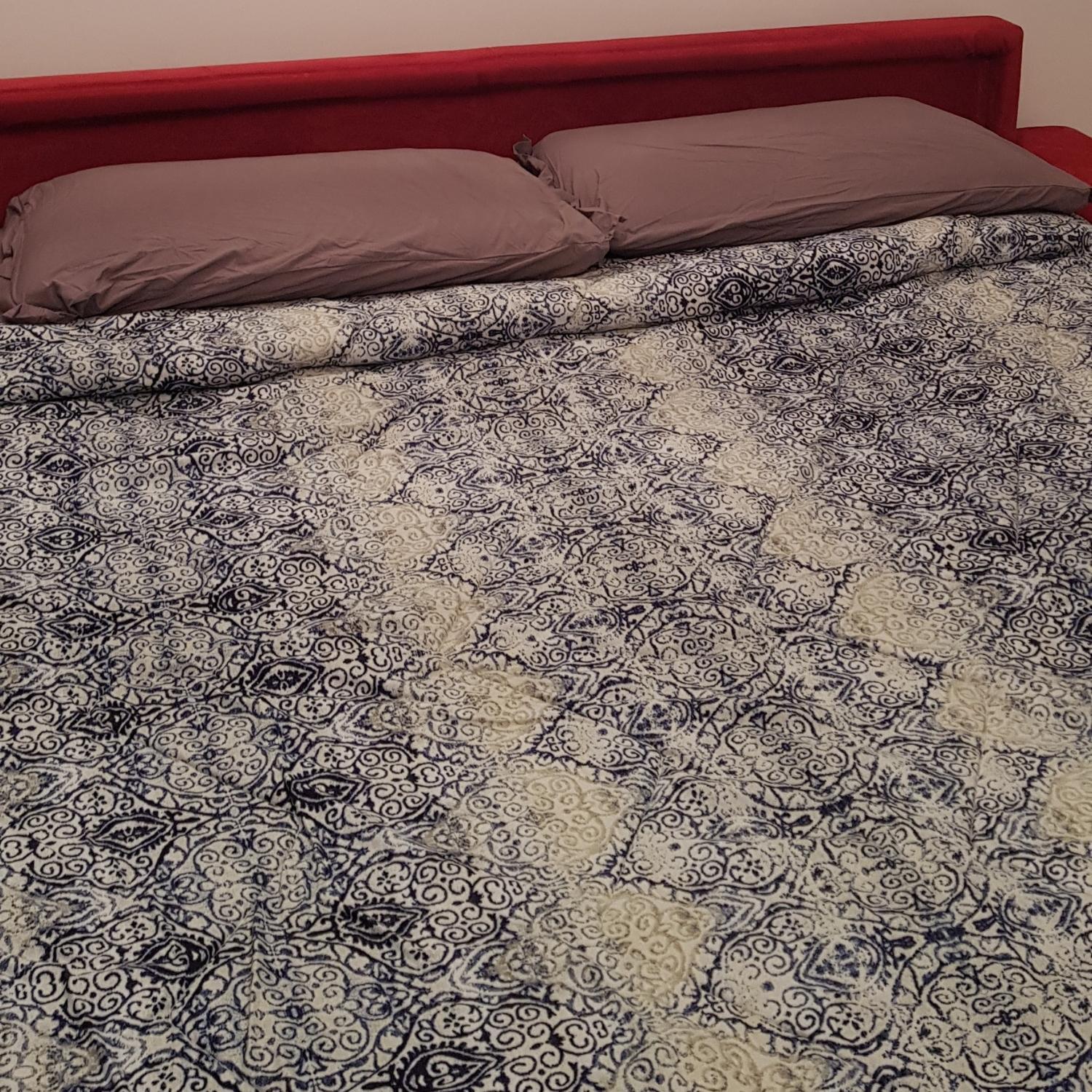 Affection Apartment بولونيا المظهر الخارجي الصورة